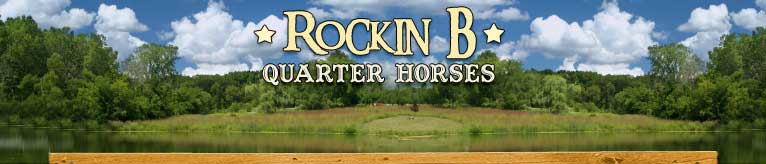 Rockin B Quarter Horses - Cutting Horses For Sale